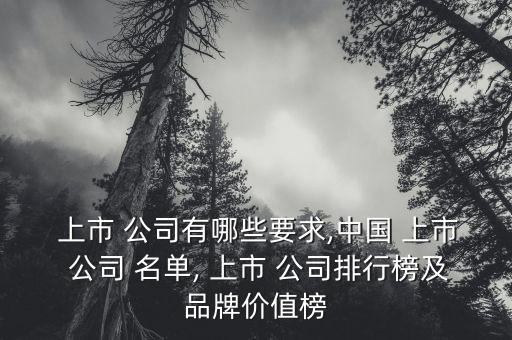  上市 公司有哪些要求,中國(guó) 上市 公司 名單, 上市 公司排行榜及品牌價(jià)值榜