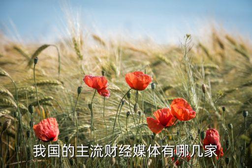 我國(guó)的主流財(cái)經(jīng)媒體有哪幾家