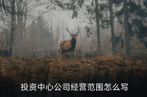  投資中心公司經(jīng)營(yíng)范圍怎么寫