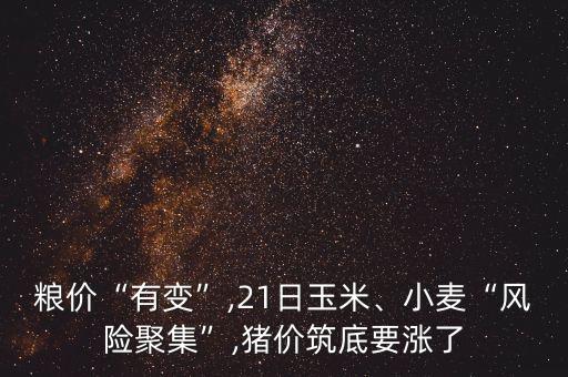 糧價“有變”,21日玉米、小麥“風(fēng)險聚集”,豬價筑底要漲了