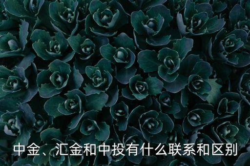 中金、匯金和中投有什么聯(lián)系和區(qū)別
