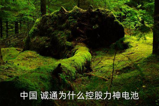 中國(guó) 誠(chéng)通為什么控股力神電池