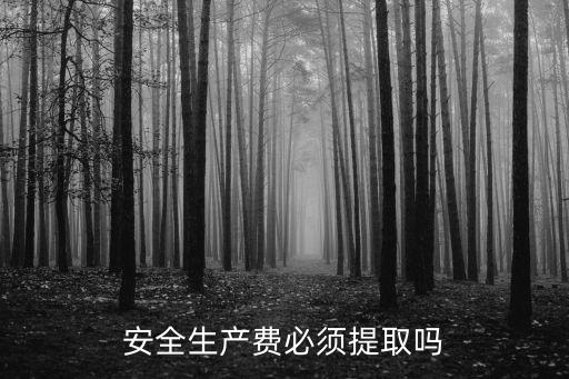 安全生產(chǎn)費(fèi)必須提取嗎