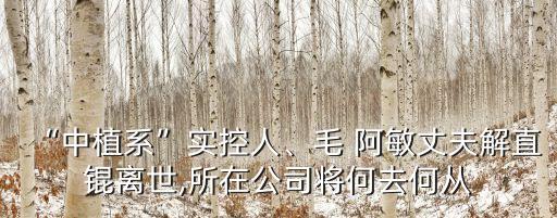 “中植系”實控人、毛 阿敏丈夫解直錕離世,所在公司將何去何從