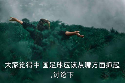 大家覺(jué)得中 國(guó)足球應(yīng)該從哪方面抓起,討論下