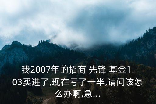 我2007年的招商 先鋒 基金1.03買進(jìn)了,現(xiàn)在虧了一半,請(qǐng)問該怎么辦啊,急...