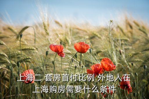  上海二 套房首付比例 外地人在 上海購(gòu)房需要什么條件