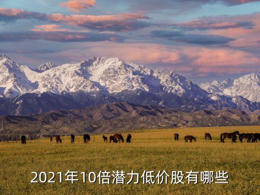 2021年10倍潛力低價股有哪些