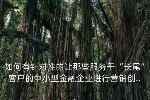 如何有針對(duì)性的讓那些服務(wù)于“長(zhǎng)尾”客戶的中小型金融企業(yè)進(jìn)行營(yíng)銷創(chuàng)...