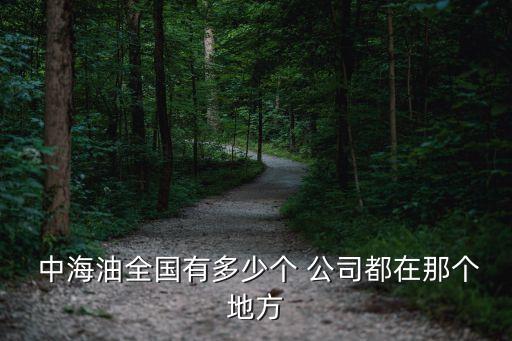  中海油全國有多少個(gè) 公司都在那個(gè)地方