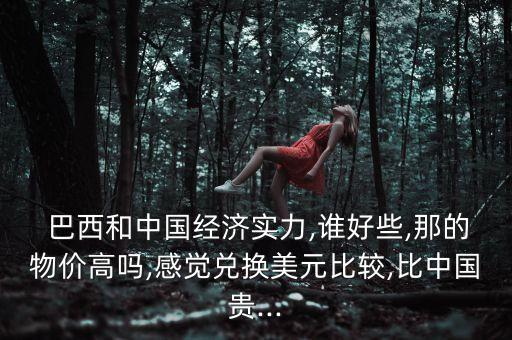  巴西和中國經(jīng)濟(jì)實力,誰好些,那的物價高嗎,感覺兌換美元比較,比中國貴...