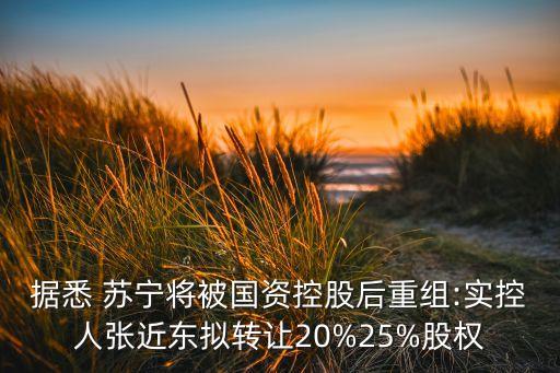 據(jù)悉 蘇寧將被國(guó)資控股后重組:實(shí)控人張近東擬轉(zhuǎn)讓20%25%股權(quán)