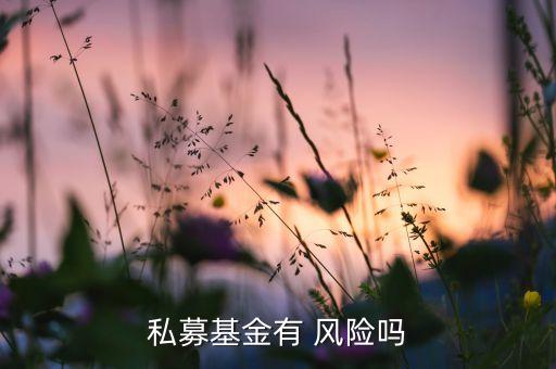 私募基金有 風(fēng)險嗎