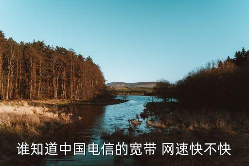 誰知道中國(guó)電信的寬帶 網(wǎng)速快不快