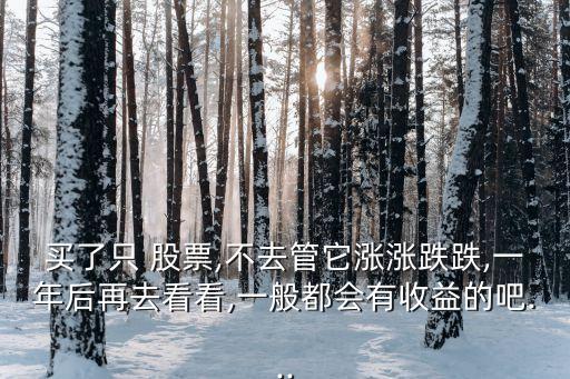 買了只 股票,不去管它漲漲跌跌,一年后再去看看,一般都會有收益的吧...