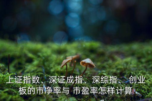 上證指數(shù)、深證成指、深綜指、 創(chuàng)業(yè)板的市凈率與 市盈率怎樣計算