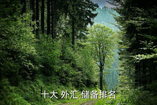 十大 外匯 儲(chǔ)備排名