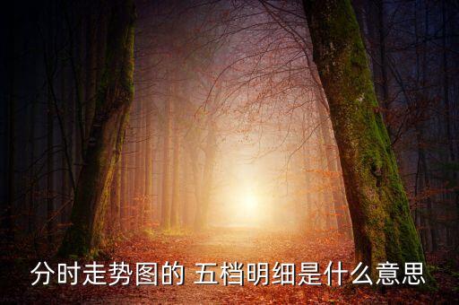 股票中買(mǎi)賣(mài)五檔,股票買(mǎi)賣(mài)五檔明細(xì)紅色綠色是什么意思