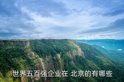  世界五百強(qiáng)企業(yè)在 北京的有哪些