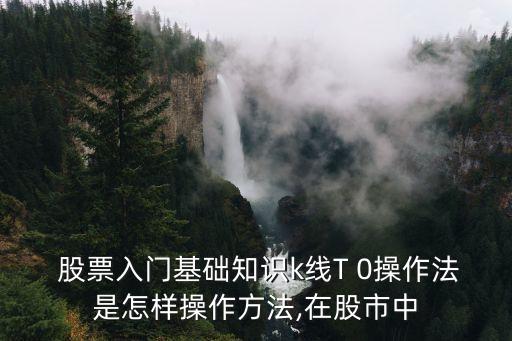  股票入門基礎(chǔ)知識(shí)k線T 0操作法是怎樣操作方法,在股市中