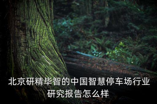  北京研精畢智的中國(guó)智慧停車場(chǎng)行業(yè)研究報(bào)告怎么樣