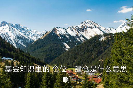 基金知識里的 倉位、建倉是什么意思啊