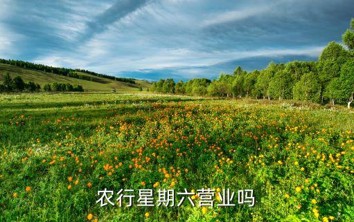 農(nóng)行星期六營業(yè)嗎