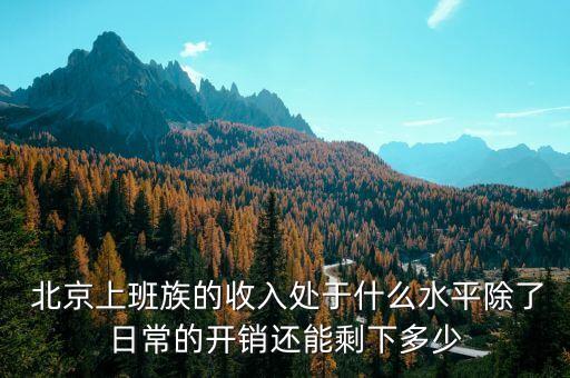  北京上班族的收入處于什么水平除了日常的開(kāi)銷(xiāo)還能剩下多少