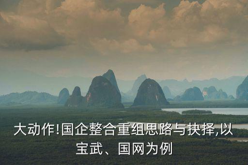 大動(dòng)作!國(guó)企整合重組思路與抉擇,以寶武、國(guó)網(wǎng)為例
