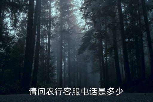 請(qǐng)問(wèn)農(nóng)行客服電話是多少
