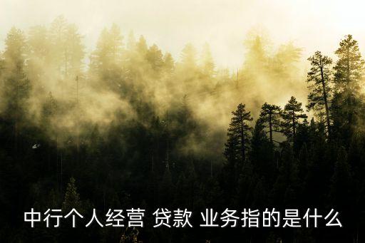 中行個(gè)人經(jīng)營 貸款 業(yè)務(wù)指的是什么