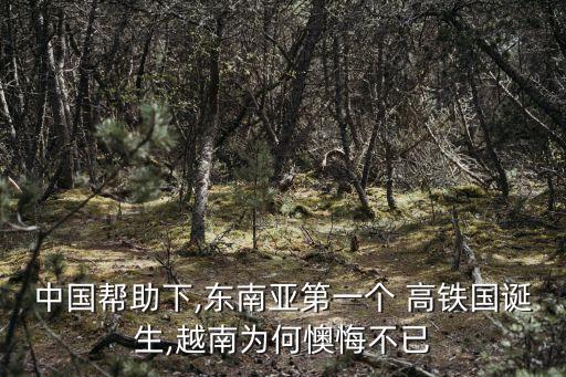 中國(guó)幫助下,東南亞第一個(gè) 高鐵國(guó)誕生,越南為何懊悔不已