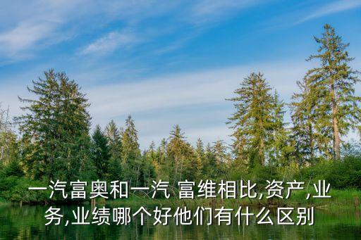 一汽富奧和一汽 富維相比,資產(chǎn),業(yè)務,業(yè)績哪個好他們有什么區(qū)別