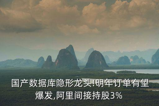 國(guó)產(chǎn)數(shù)據(jù)庫(kù)隱形龍頭!明年訂單有望爆發(fā),阿里間接持股3%