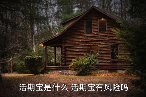  活期寶是什么 活期寶有風險嗎