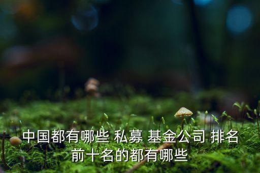 中國(guó)都有哪些 私募 基金公司 排名前十名的都有哪些