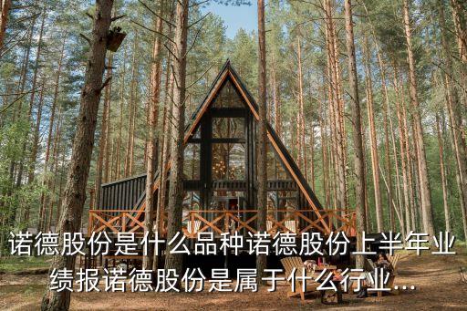 諾德股份是什么品種諾德股份上半年業(yè)績報(bào)諾德股份是屬于什么行業(yè)...