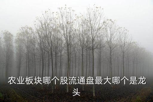  農(nóng)業(yè)板塊哪個股流通盤最大哪個是龍頭