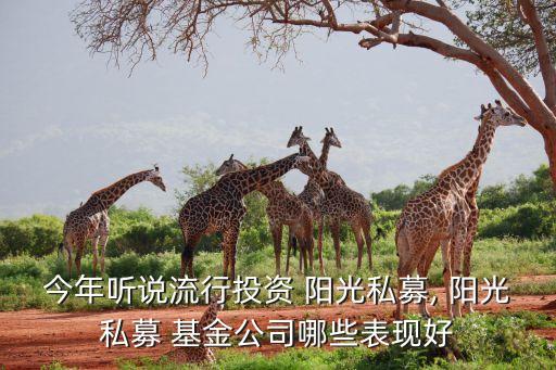 今年聽說流行投資 陽光私募, 陽光私募 基金公司哪些表現(xiàn)好