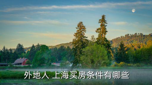  外地人 上海買(mǎi)房條件有哪些