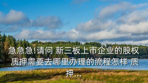 急急急!請(qǐng)問 新三板上市企業(yè)的股權(quán) 質(zhì)押需要去哪里辦理的流程怎樣 質(zhì)押...