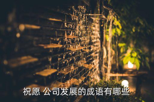 祝愿 公司發(fā)展的成語(yǔ)有哪些