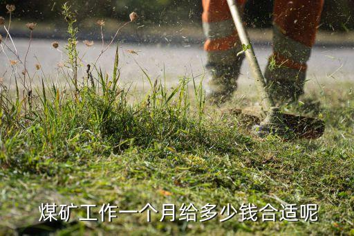  煤礦工作一個(gè)月給多少錢(qián)合適呢