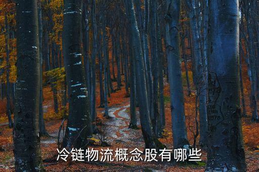 中集集團(tuán)同花順個股分析,同花順行業(yè)地位個股分析