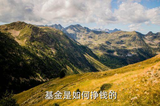 上市銀行代理基金收入,哪個銀行的基金是穩(wěn)定收入的