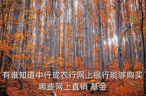 有誰知道中行或農(nóng)行網(wǎng)上銀行能夠購(gòu)買哪些網(wǎng)上直銷 基金