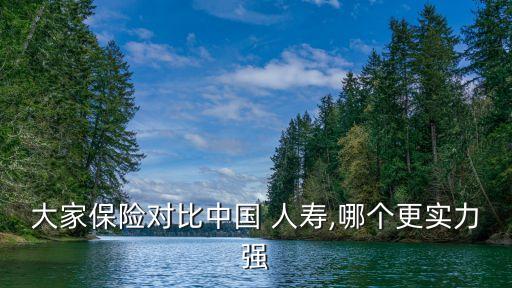 大家保險(xiǎn)對(duì)比中國 人壽,哪個(gè)更實(shí)力強(qiáng)