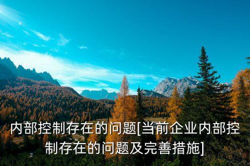 內(nèi)部控制存在的問題[當前企業(yè)內(nèi)部控制存在的問題及完善措施]