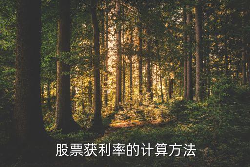  股票獲利率的計算方法