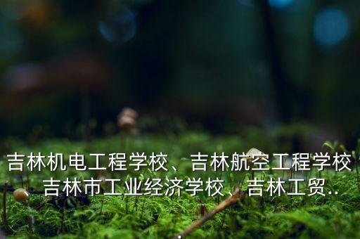 吉林機(jī)電工程學(xué)校、吉林航空工程學(xué)校、吉林市工業(yè)經(jīng)濟(jì)學(xué)校、吉林工貿(mào)...